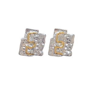 BLOQUE BICOLOR  |   Aretes - Grandes    |    Acero inoxidable